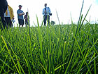 Farm Walks